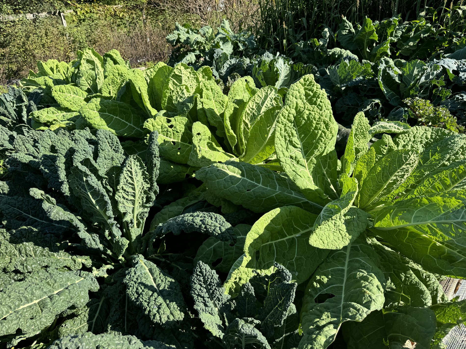 Un apprentissage agricole pratique, centré sur l'agriculteur