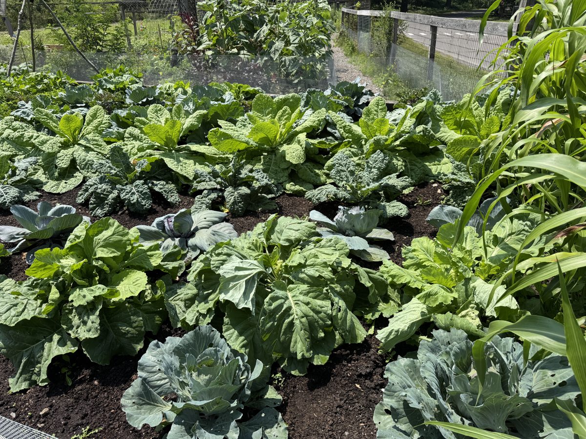 Cadre d'apprentissage agricole