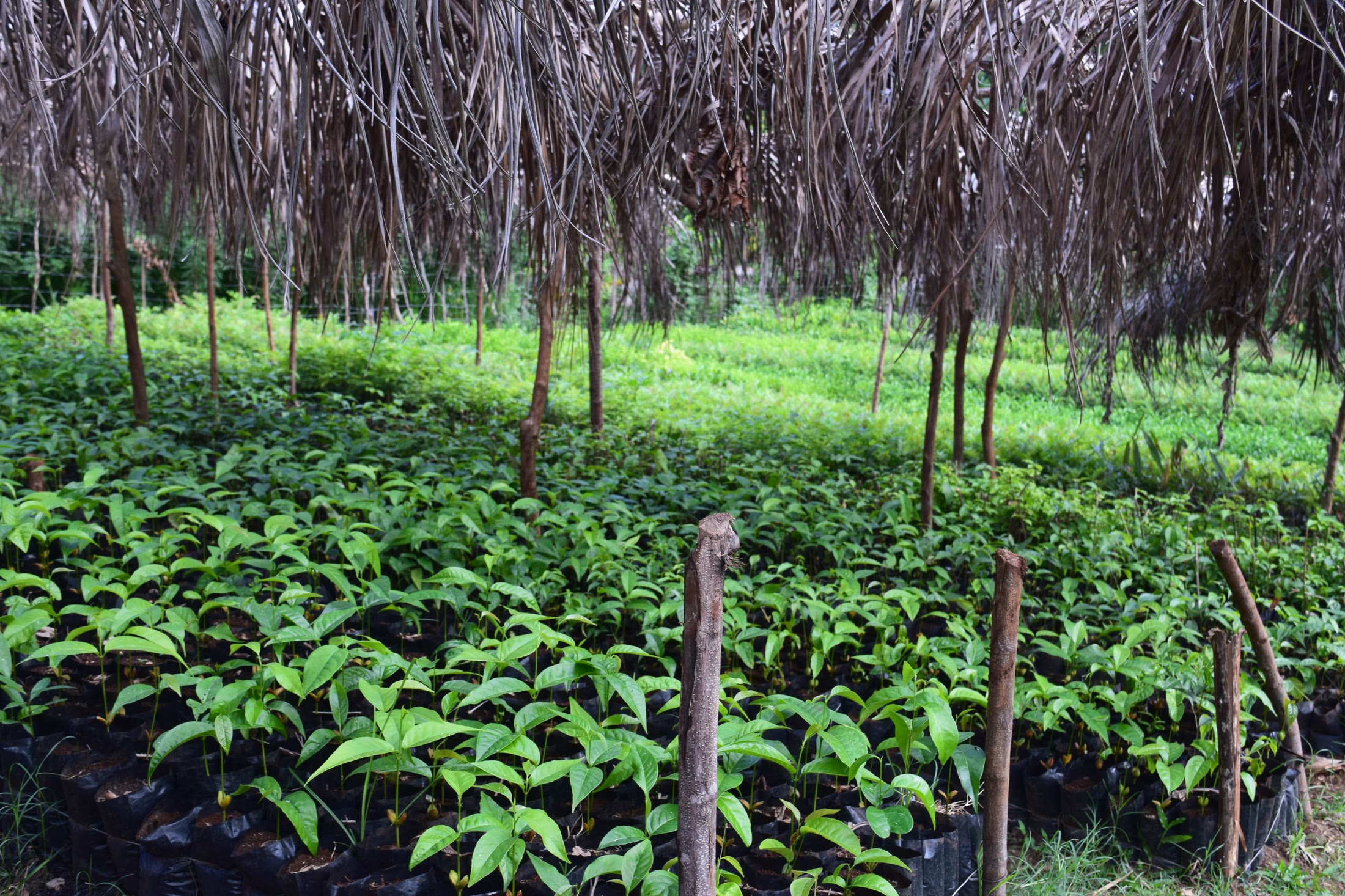 Servicios de Formación y Consultoría Agrícola